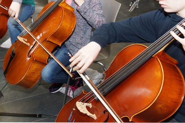 Cello